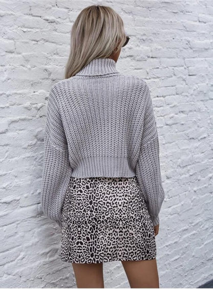 Le pull Sasha